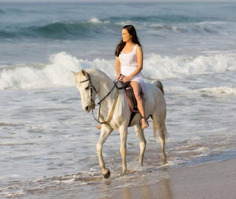 Cartagena: Horseback Riding on the Beach at Sunset - Who Will Love This Experience?