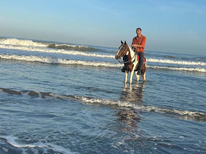 Cartagena: Horseback Riding Tour with Hotel Pickup - Exploring the Cartagena Horseback Riding Tour