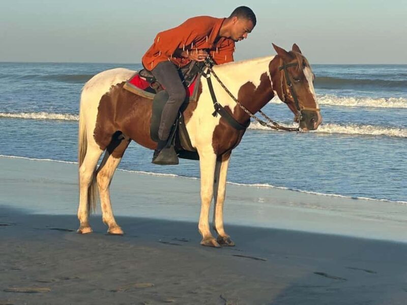 Cartagena: Horseback Riding Tour with Hotel Pickup - The Sum Up