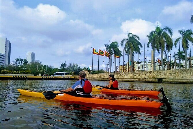 Cartagena In Kayak - A Detailed Look at the Cartagena Kayaking Tour