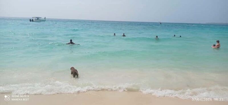 Cartagena: LUMINOUS PLANKTON, Playa Blanca Barù and Lunch - Who Will Love This Tour?