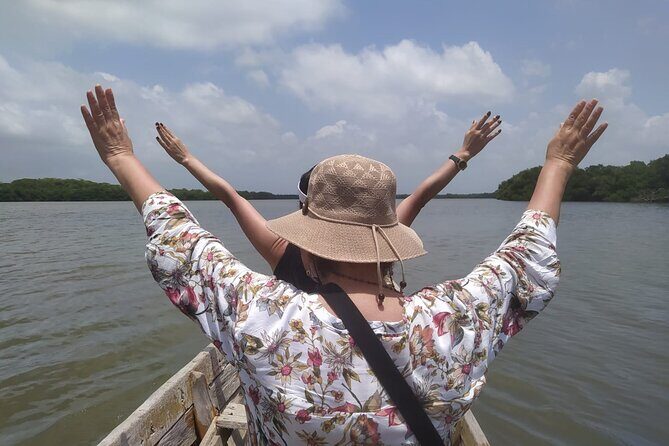 Cartagena Mangrove Private Tour - Exploring the Cartagena Mangrove Private Tour: A Deep Dive into Nature and Culture