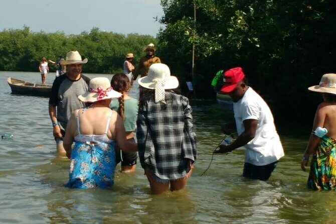 Cartagena Mangrove Private Tour - Final Thoughts: Is This Tour Right for You?