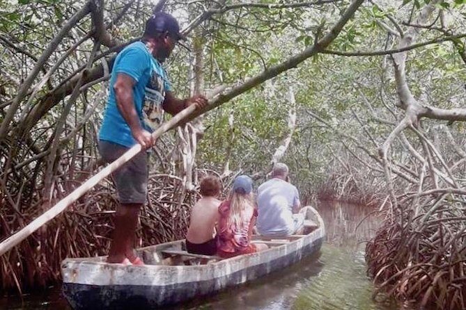 Cartagena Mangrove Tour - The Sum Up