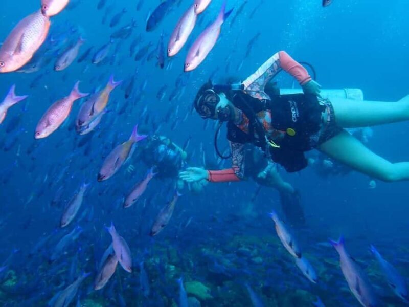 Cartagena: PADI DISCOVER SCUBA / MINICURSO DE BUCEO - Who Should Book This Tour?