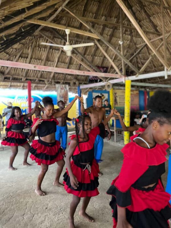 Cartagena: Palenque Day Trip with Lunch and Dance Show - Value and Overall Impression