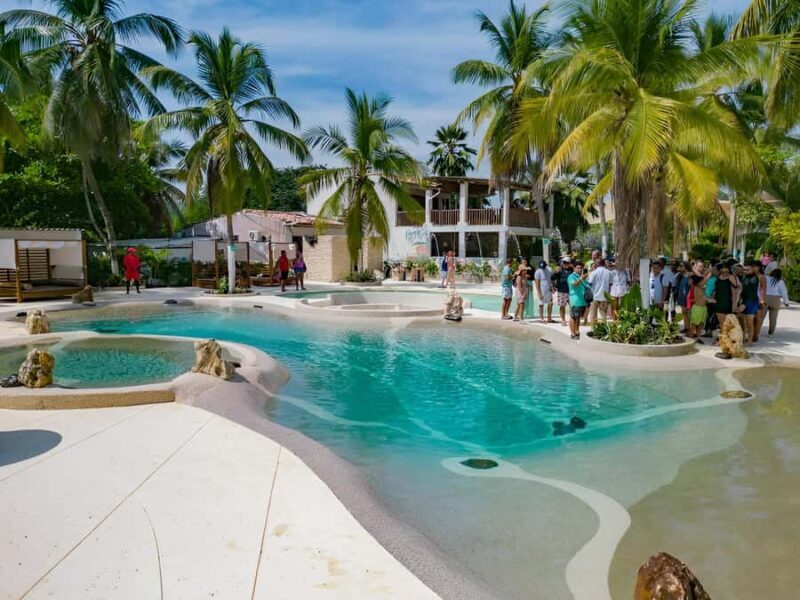 Cartagena: Palmarito Beachclub with Pool, Kayak and paddle! - Authentic Experiences and Guest Perspectives