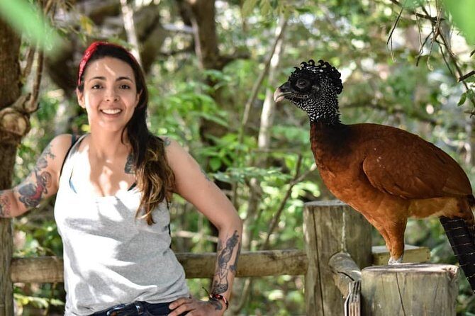 Cartagena private aviary tour - Key Points
