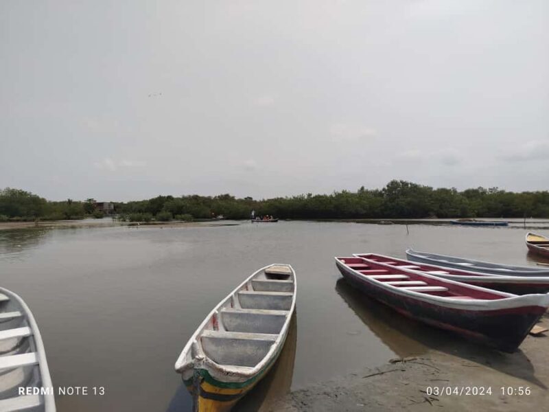 Cartagena: Private Sail in the mangrove GUIDE in ENGLISH - Authentic Traveler Feedback