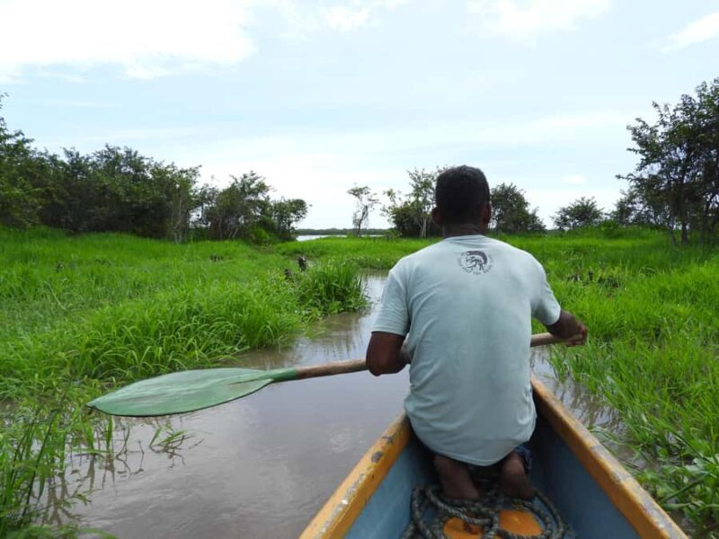 Cartagena: Private tour of bird watching in the Canal del dique - Deep Dive into the Itinerary