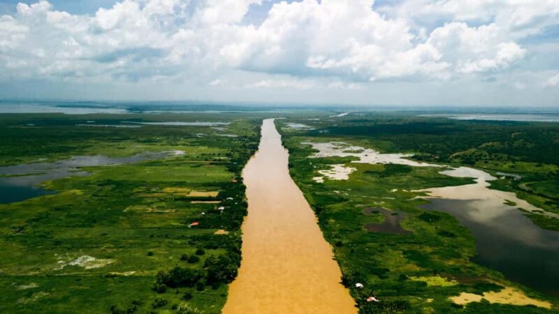 Cartagena: Private tour of bird watching in the Canal del dique - Who Will Love This Tour?