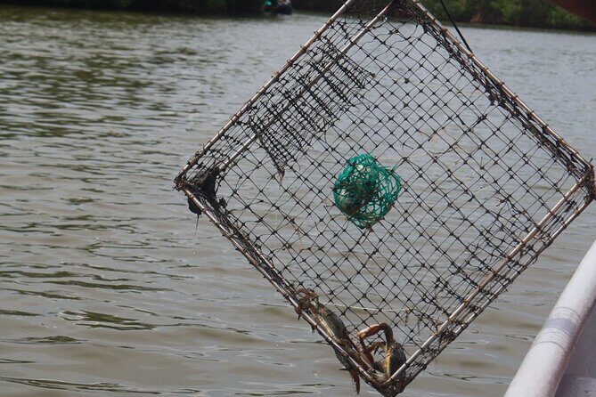 Cartagena Real : neighborhood, mangrove, fishing, typical lunch and culture - Key Points