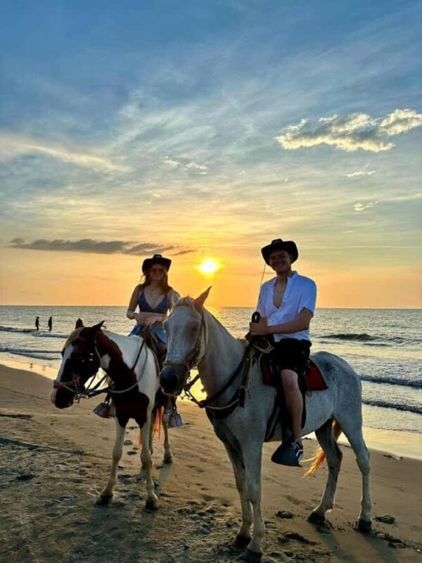 Cartagena: RIDE A HORSE with pick-up at the hotel and return - A Thorough Look at the Horseback Riding Experience in Cartagena