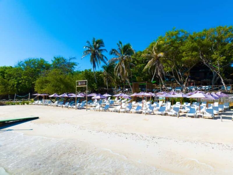 Cartagena: Rosario Island Beach Club Day Trip and OPEN BAR - Key Points