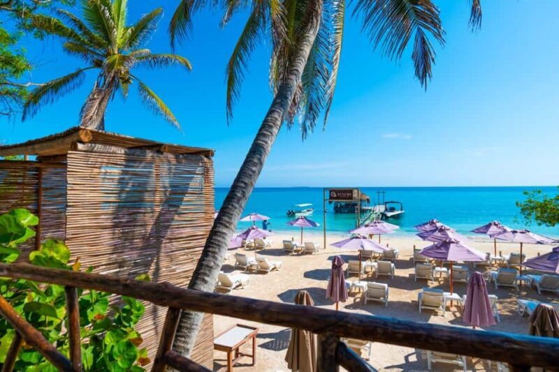 Cartagena: Rosario Island Beach Club Day Trip and OPEN BAR - Who Is This Tour Best For?