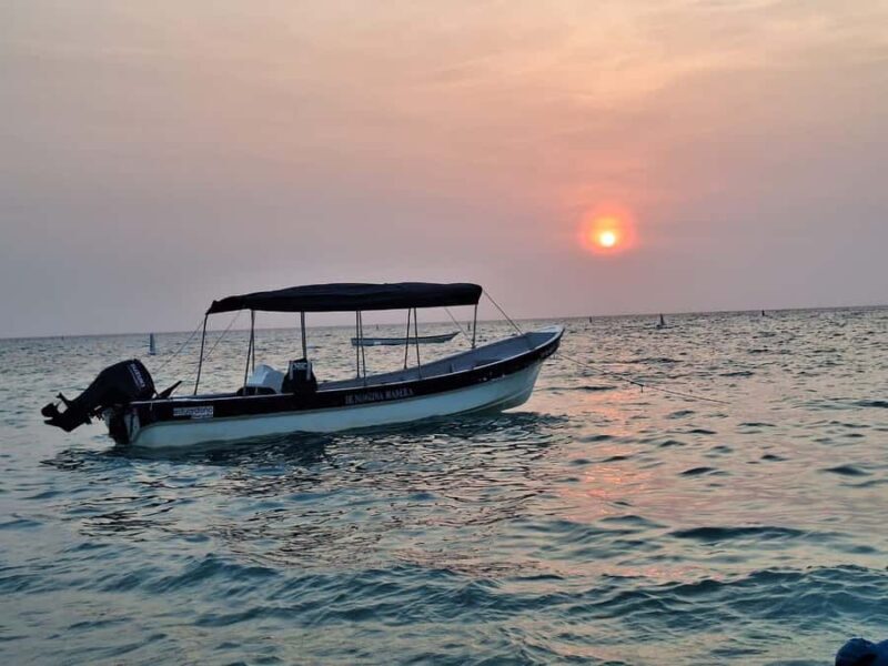 Cartagena: Rosario Islands All-Inclusive Exclusive - Final Thoughts: Who Should Consider This Tour?