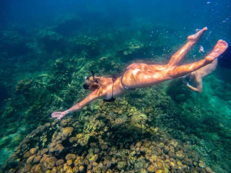 Cartagena: Rosario Islands Day Tour with Snorkel & Lunch - The Experience: An In-Depth Look at the Rosario Islands Tour