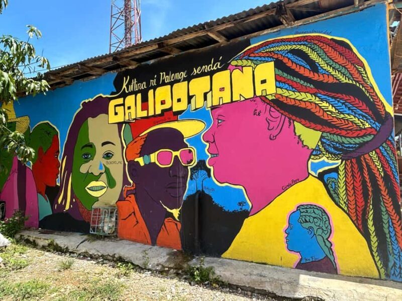 Cartagena: San Basilio de Palenque Day Trip with Lunch - Key Points