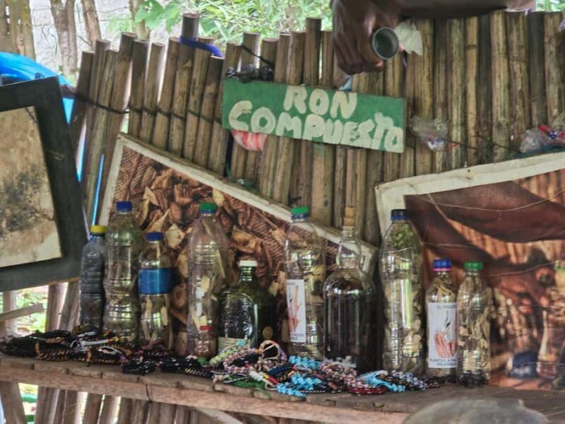 Cartagena: San Basilio de Palenque Guided Day Trip - Key Points