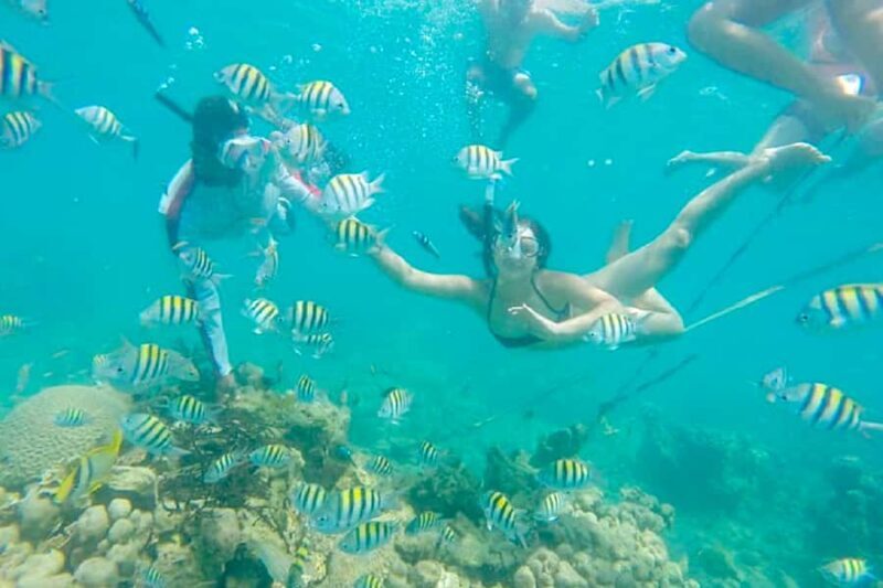 Cartagena: Snorkel, Mangroves and Playa Blanca Tour - Exploring Cartagena’s Coastal Treasures: Snorkel, Mangroves, and Playa Blanca Tour