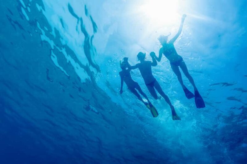 Cartagena: Snorkel, Mangroves and Playa Blanca Tour - The Experience in Detail: Pros and Cons