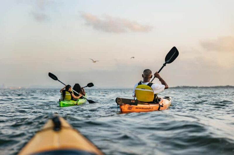 Cartagena: Sunset Sea Kayaking Tour - Key Points