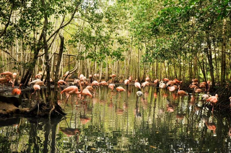 Cartagena to National Aviary Excursion - FAQs