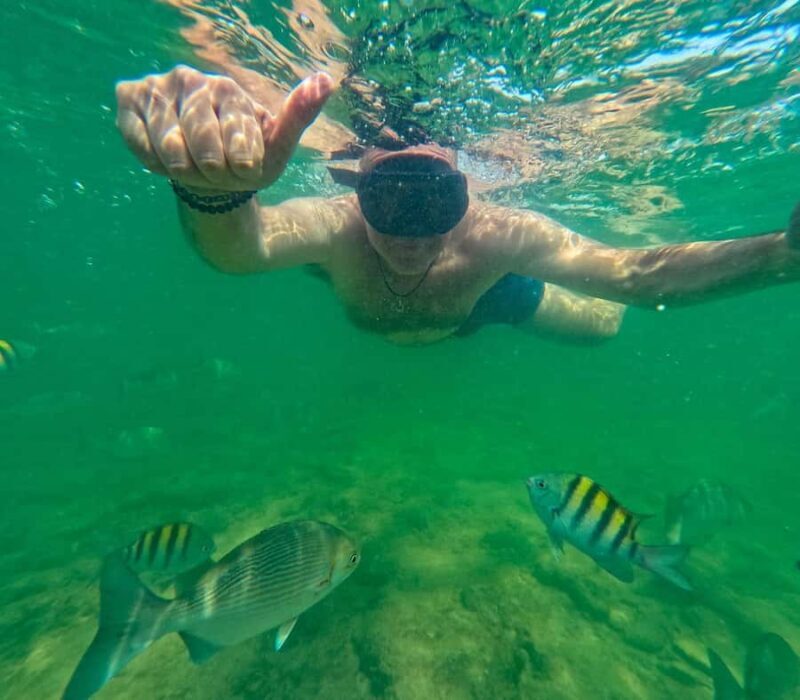 Cartagena: tour of the islands with snorkeling, lunch and plankton activity - Who Would Love This Tour?