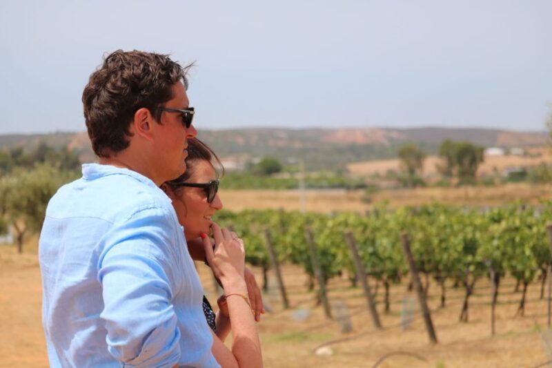 Carvoeiro/Portimão/Alvor: Wine Tour w/ Tasting, Tapas, Music - Final Thoughts