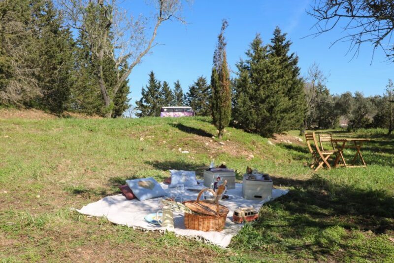 Carvoeiro, Portimão, Lagos: Algarve Romantic Vineyard Picnic - Price and Value