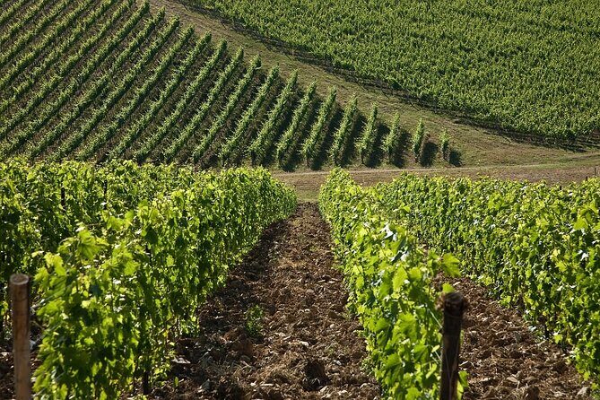 Casa Emma Wine Tasting - Final Thoughts