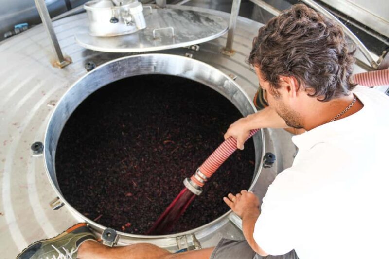 Casa Relvas, Évora - Visit to the Winery with Tasting of 5 wines and Tapas - Who Will Love This Tour?