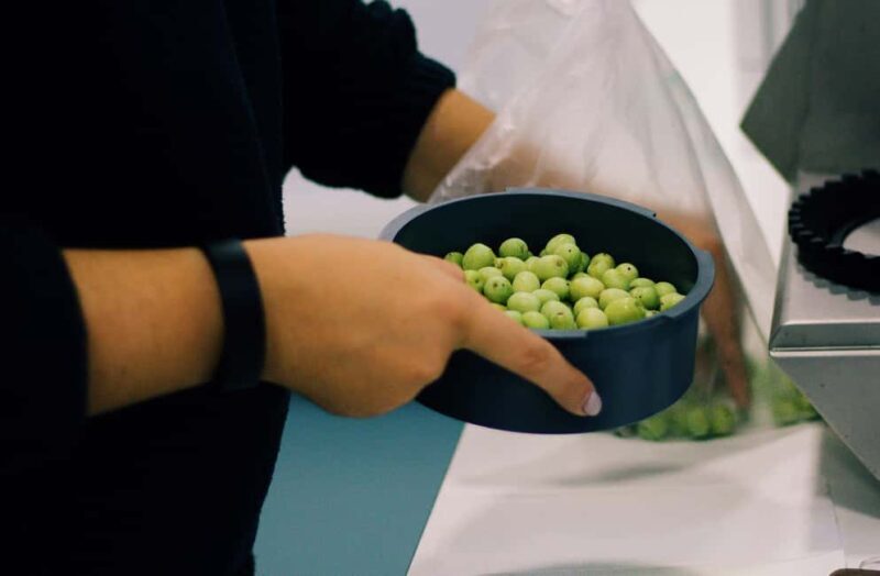 Casa Relvas, Vidigueira: Olive Harvest Campaign Program - Final Thoughts on Value and Suitability