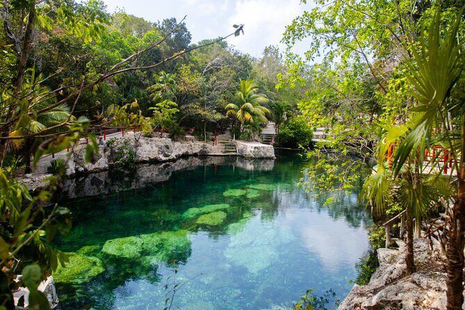 Casa Tortuga Natural Park, Explore 5 Cenotes with Lunch buffet - Key Points