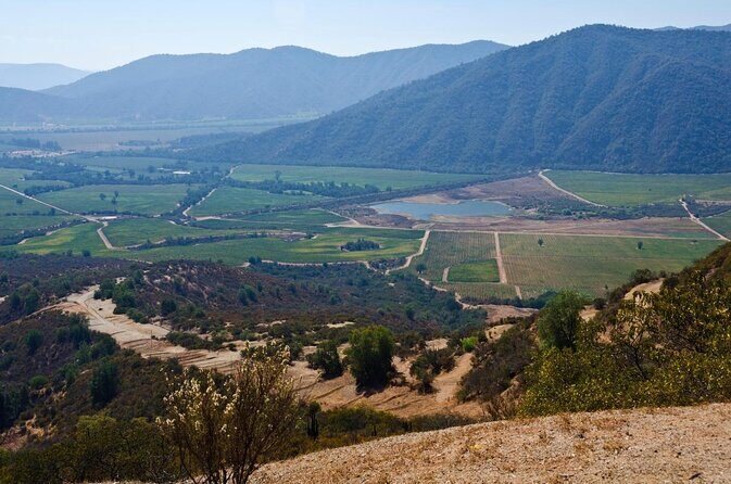 Casablanca Valley & Casa del Bosque - 3 Vineyards - Full day - Discover the Charm of Casablanca Valley with a Private Wine Tour