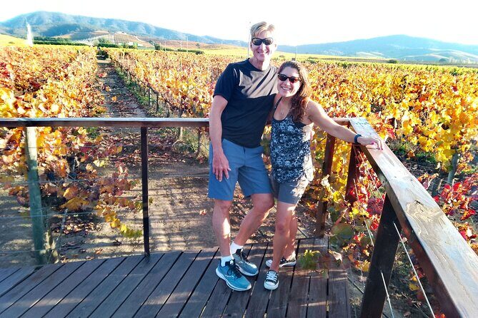 Casablanca Valley & Casa del Bosque - 3 Vineyards - Full day - Key Points