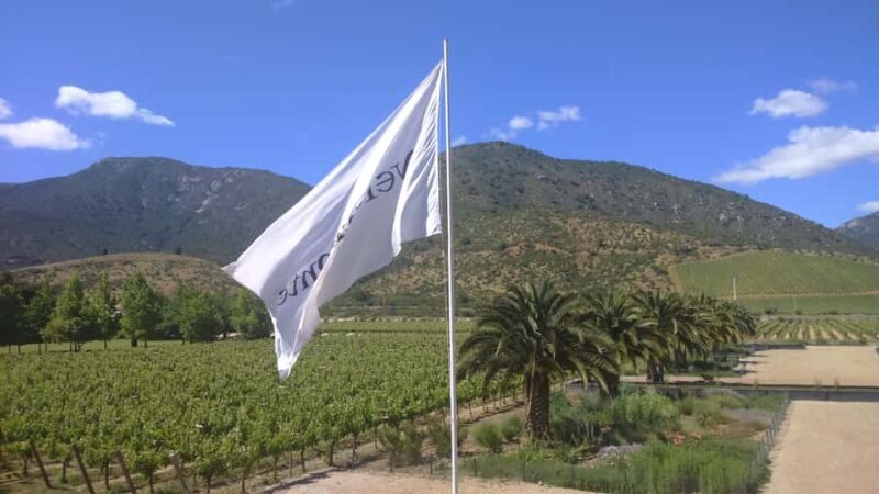 Casablanca Valley: Full-Day Private Wine Tour - A Closer Look at the Casablanca Valley Private Wine Tour