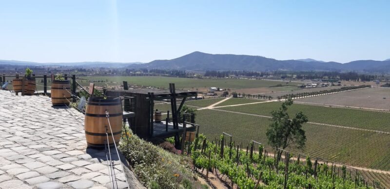 Casablanca Valley: Full-Day Private Wine Tour - FAQ