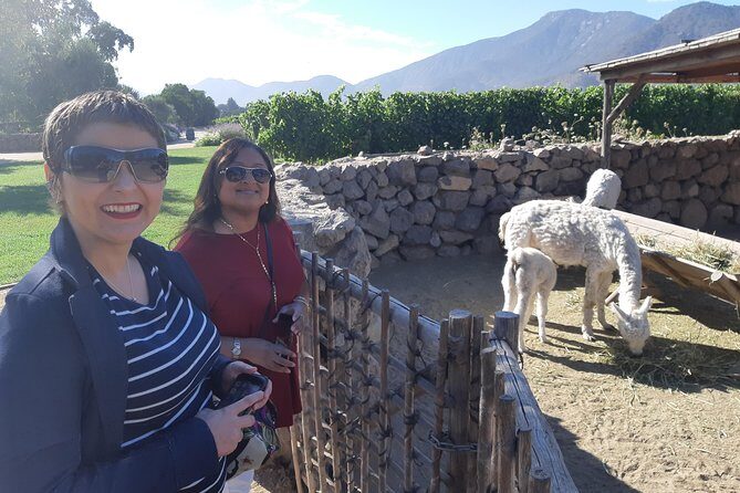 Casablanca Valley Wine tour + Valparaiso (small group tour) - Key Points