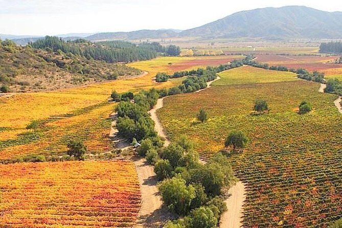 Casablanca Wine Tour with Valparaiso and Viña del Mar - Key Points