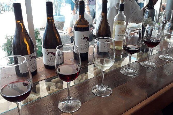 Casablanca Wine Valley LGBT+ - Discover the Casablanca Wine Valley: A Guided Taste of Chile’s White Wine Excellence