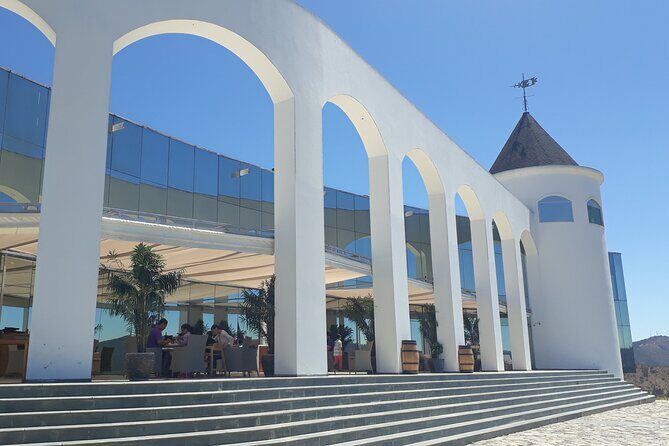 Casablanca Wine Valley LGBT+ - Who Will Appreciate This Tour?