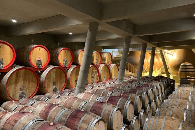 Casablanca Wine Valley LGBT+ - Practical Tips for Enjoying Your Casablanca Wine Valley Tour