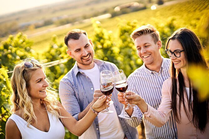 Casablanca world class wines, 4 vineyards & Tanino lunch stop - A Deep Dive into the Casablanca Wine Tour Experience