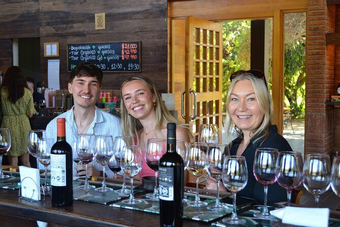 Casablanca world class wines, 4 vineyards & Tanino lunch stop - Why This Tour Stands Out