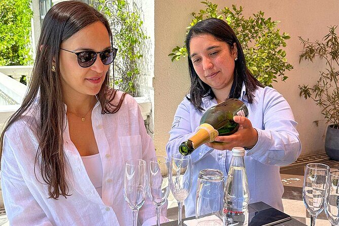 Casablanca world class wines, 4 vineyards & Tanino lunch stop - Overall Value and Experience