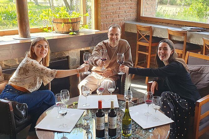 Casablanca world class wines, 4 vineyards & Tanino lunch stop - Who Will Love This Tour?