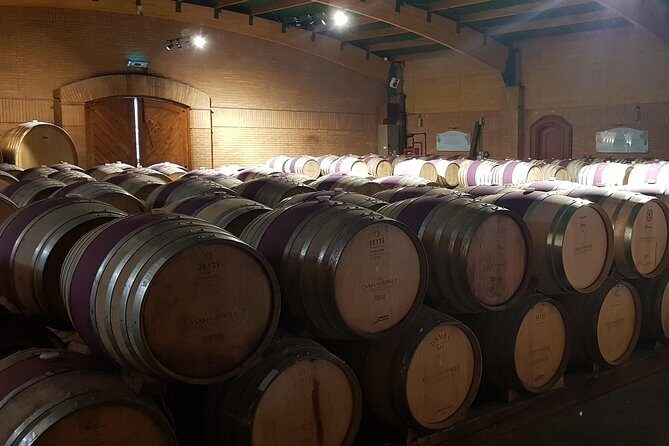 Casas del Bosque Winery + RE Wineries : Exclusive Tour + Transfer - Transportation & Group Size