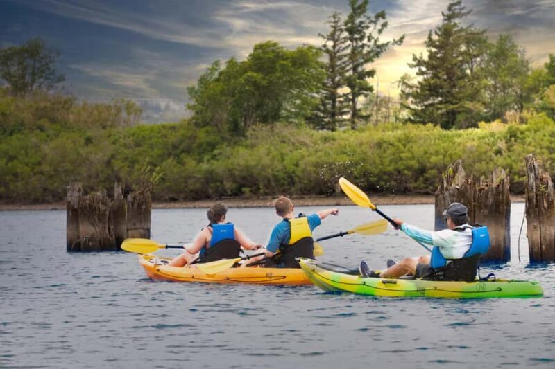 Cascade Locks: Columbia River Gorge Kayak Tour - Practical Details and Tips for Your Trip
