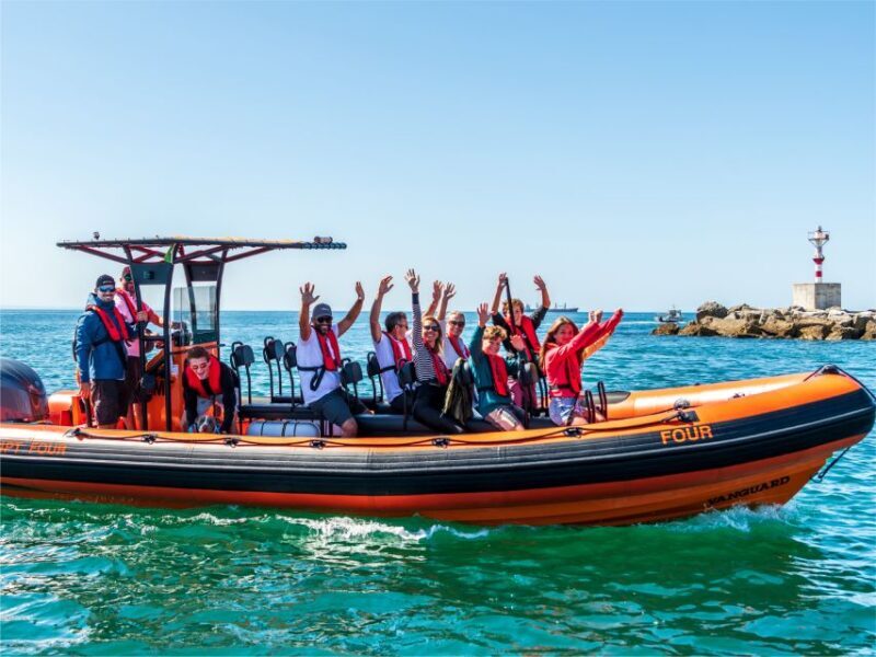 Cascais: Dolphin Watching Tour - Practical Tips for Your Dolphin Tour